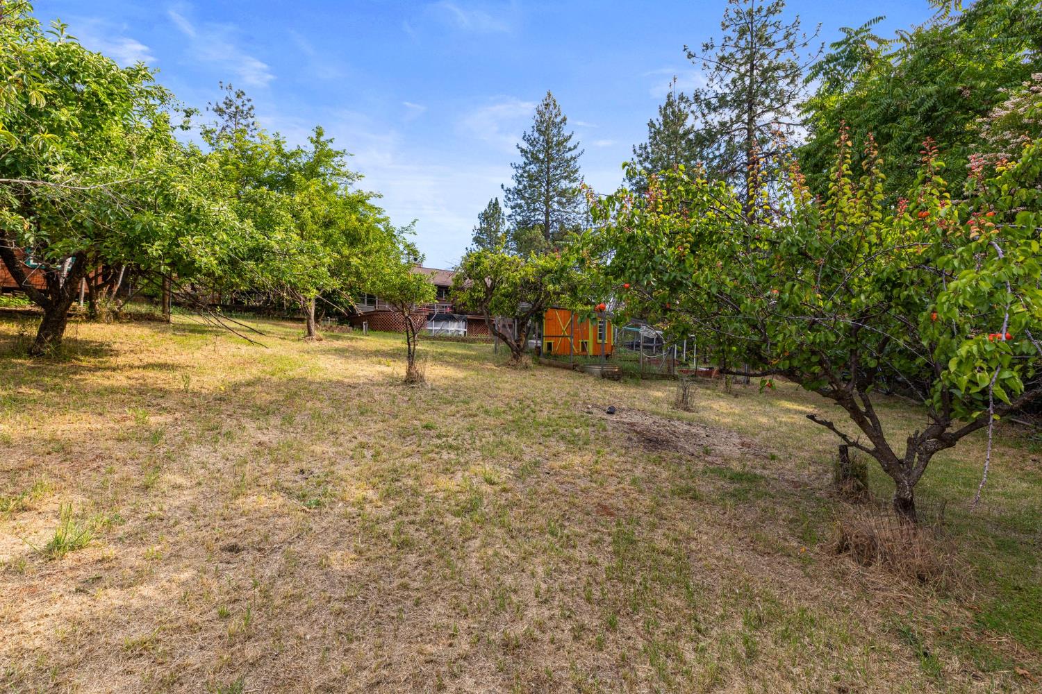 9340 Mosquito Road Placerville, CA 95667 - Photo 84 of 92