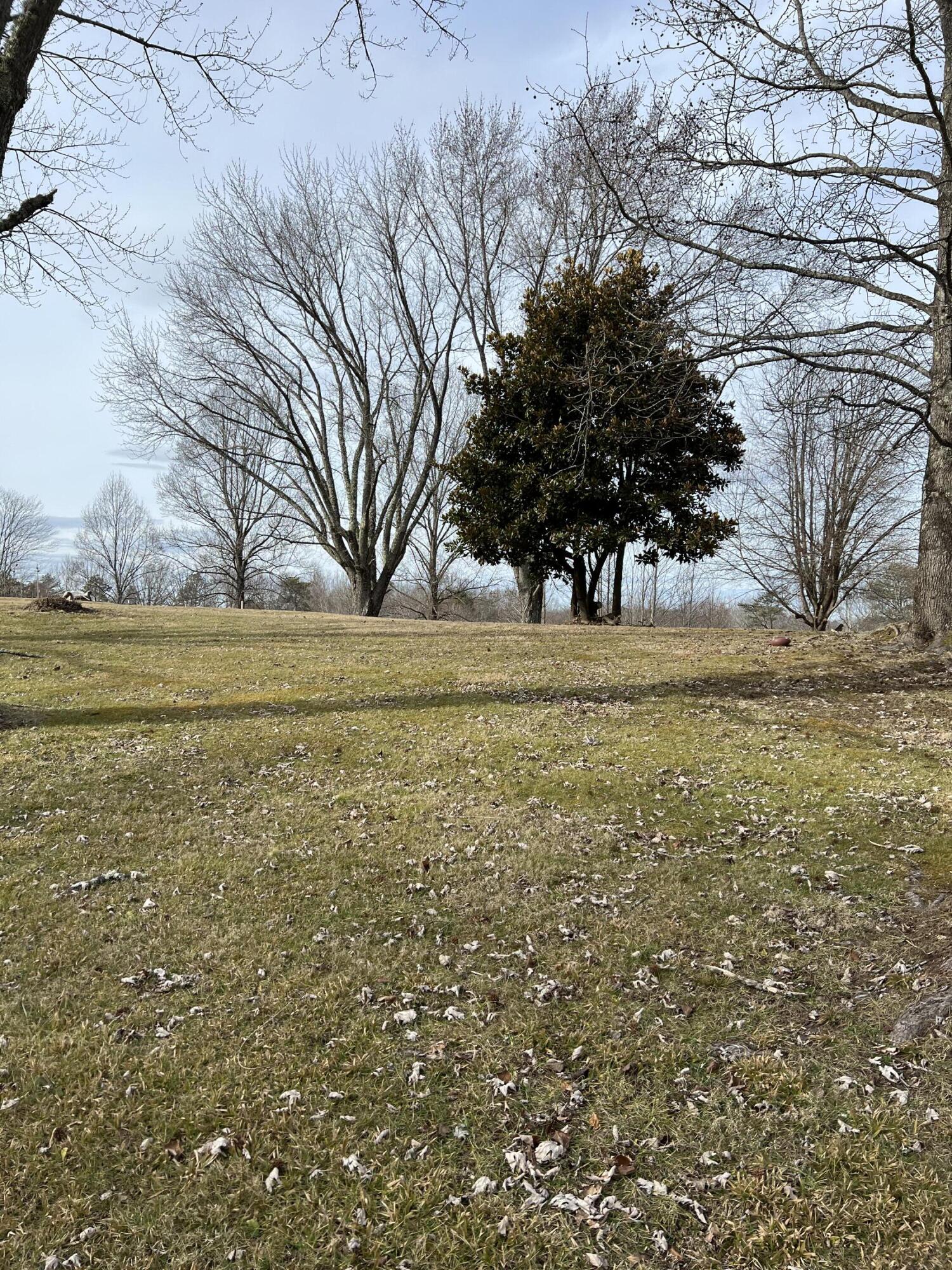 288 Murphy Ridge Road Stearns, KY 42647 - Photo 8 of 34 B8F240E2-5517-49FC-A518-8F214F23FBEB