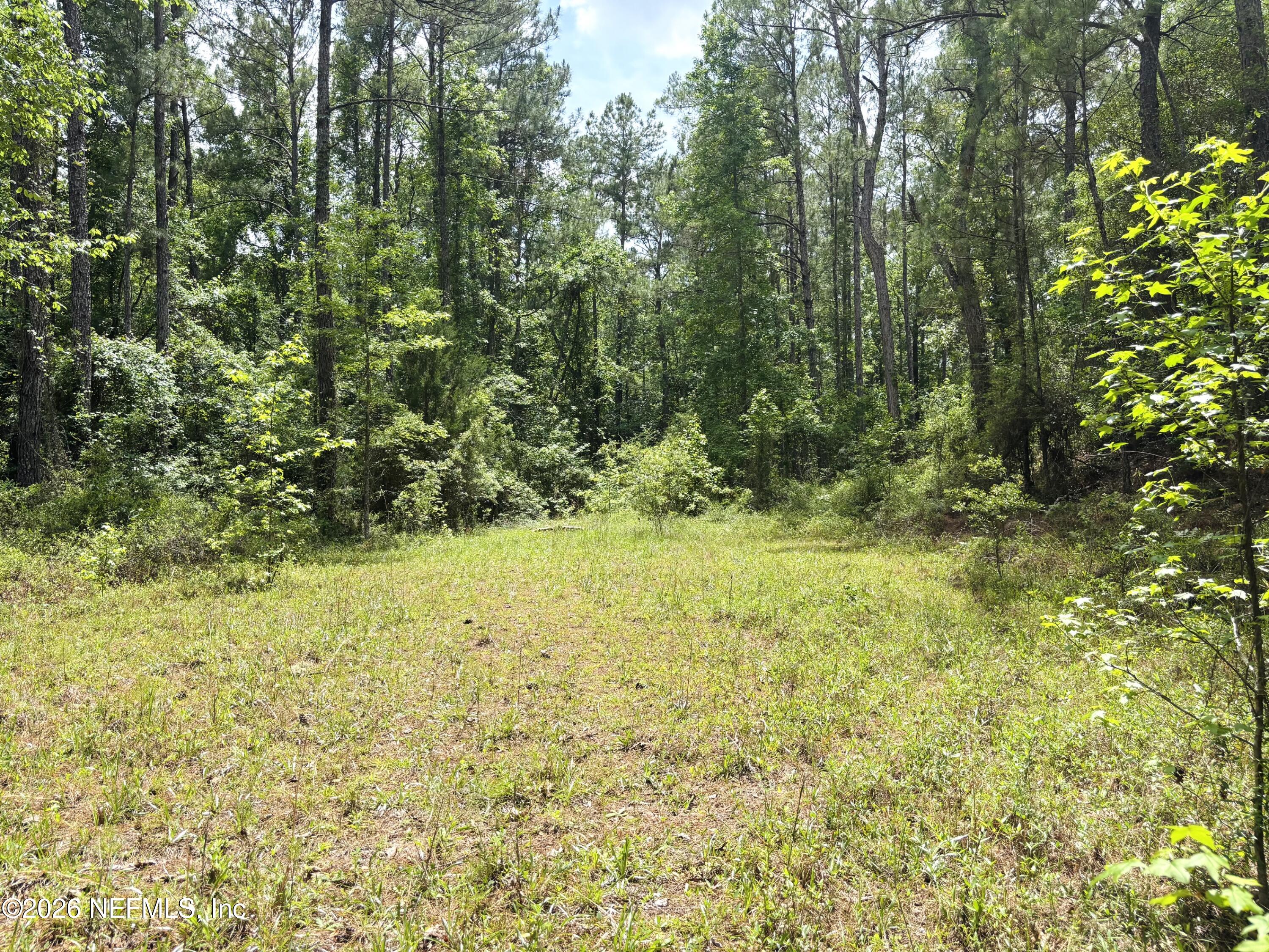 0 Lake Hampton Road Hilliard, FL 32046 - Photo 13 of 23 a view of yard with green space