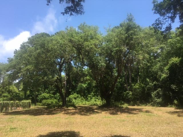 1538 Hamlin Road Mount Pleasant, SC 29466 - Photo 2 of 5 trees hamlin2