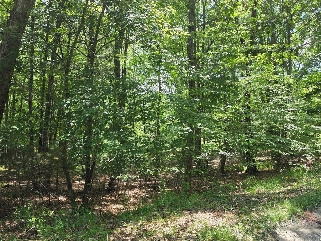 Lot 51 Toms Knob Road, Unit 1 51 Sparta, NC 28675 - Photo 3 of 5