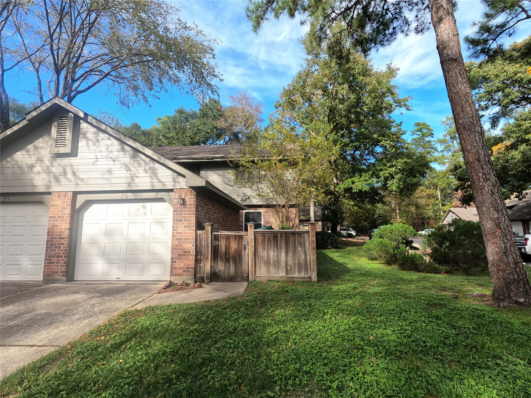 a view of backyard with large trees and flower plants
