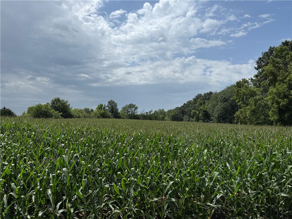 75-acres Southeast Raven Road Cameron, MO 64429 - Photo 1 of 1 Gallery Image 1