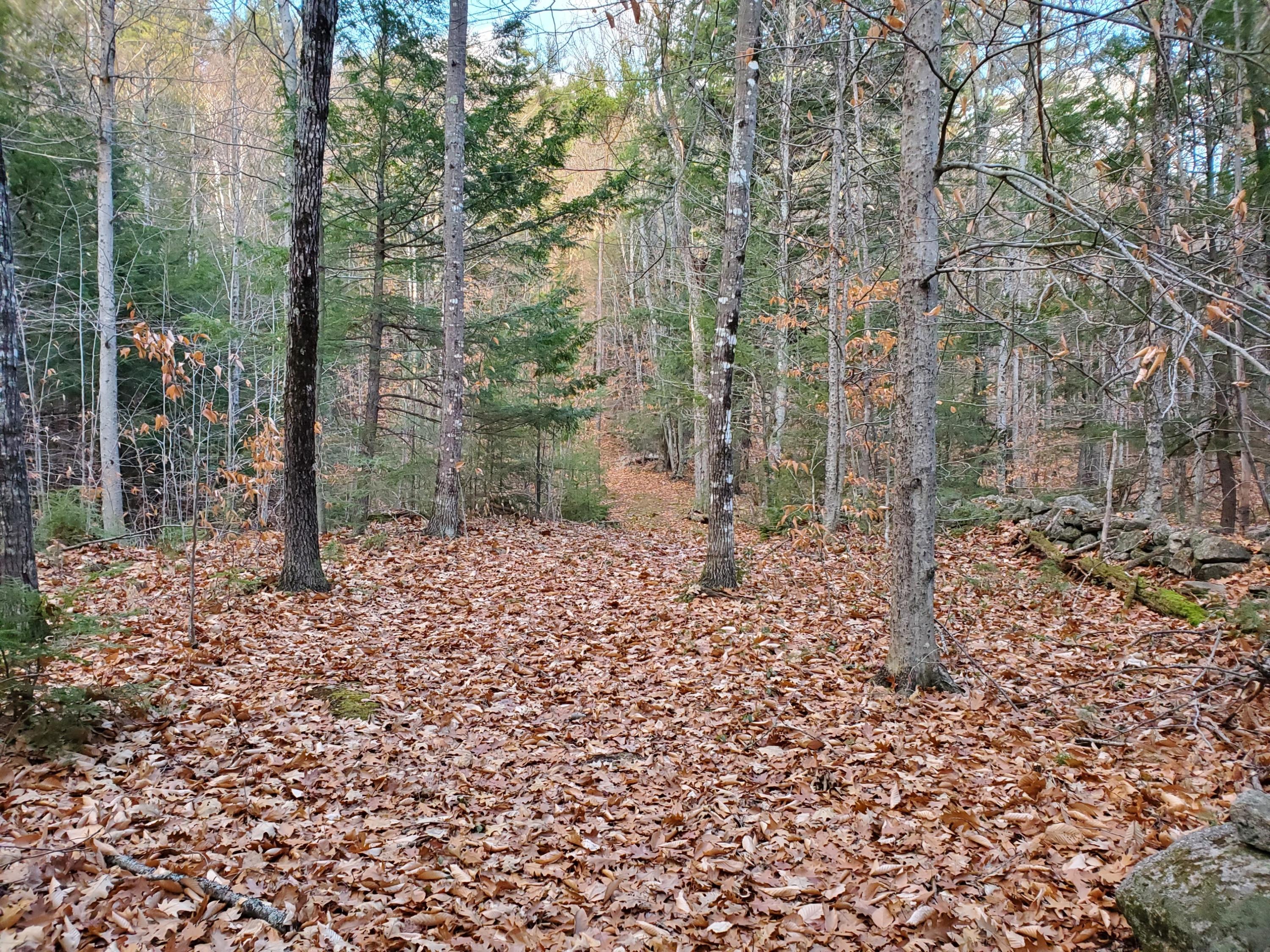 20201118_153601_resized[27437]