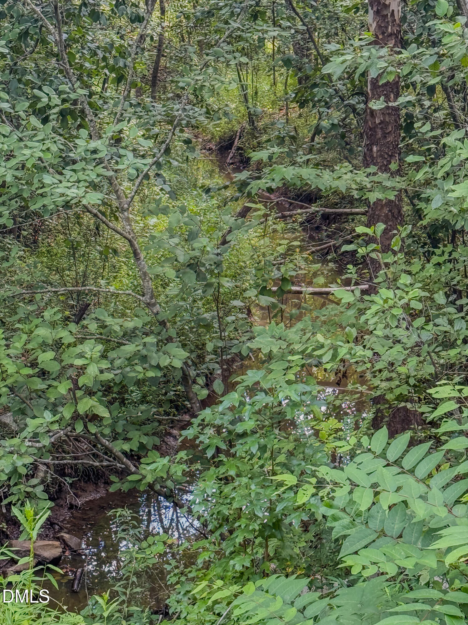 201 Briggs Road Hurdle Mills, NC 27541 - Photo 44 of 59 55