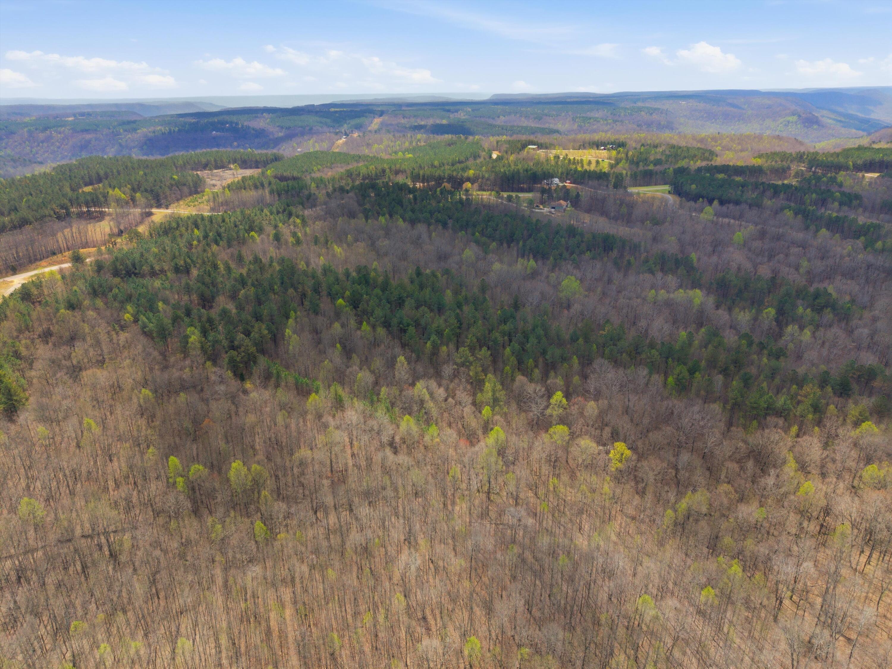 0 Thunder Ridge Drive Sherwood, TN 37376 - Photo 4 of 12 03-DJI_20260331125506_0309_D