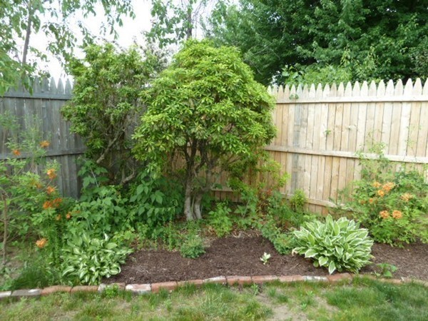 16 Rosella Street Springfield, MA 01118 - Photo 25 of 27 Gallery Image 25