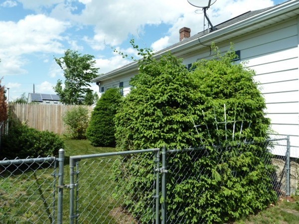 16 Rosella Street Springfield, MA 01118 - Photo 26 of 27 Gallery Image 26