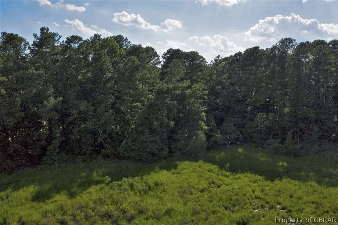 103 Plantation Road North, VA 23128 - Photo 4 of 46