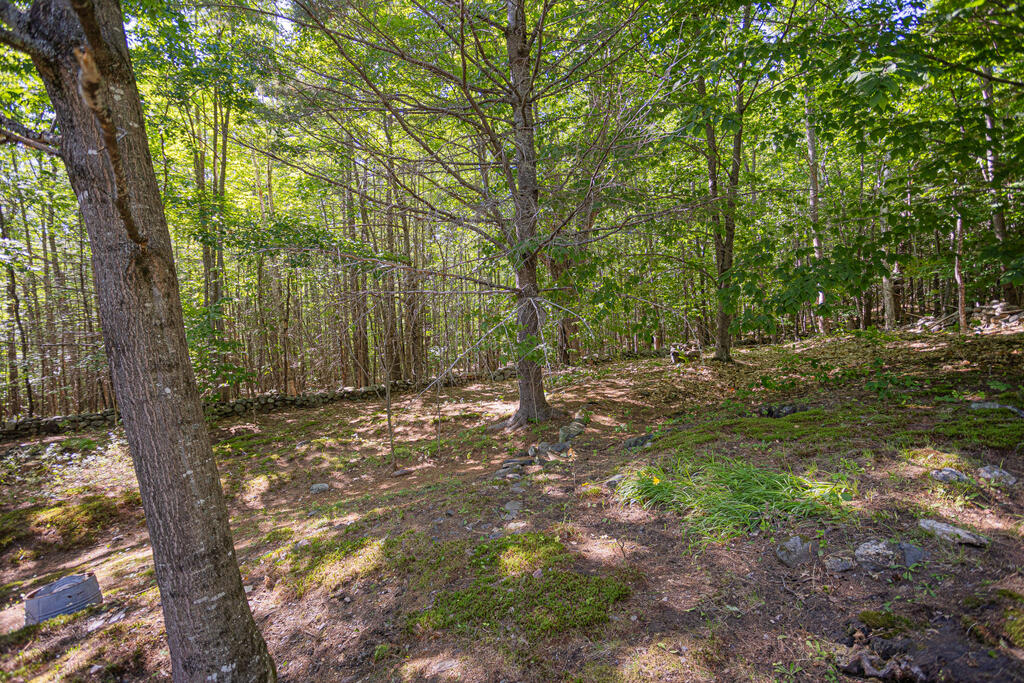 359 South Strong Road Farmington, ME 04938 - Photo 53 of 57 sandyriverrealty-15