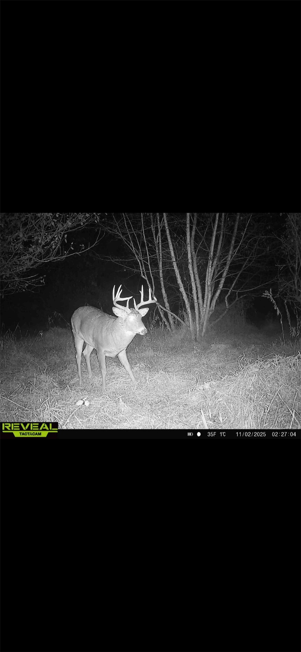 754 Anderson Street Augusta, WI 54722 - Photo 59 of 60