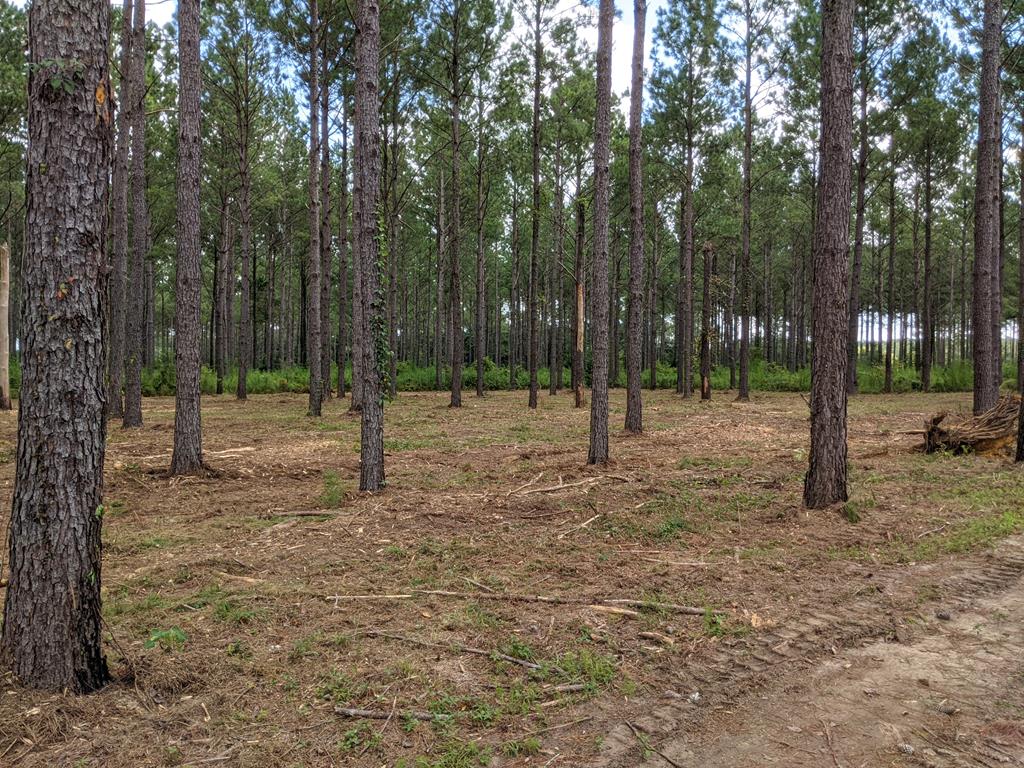509 Lucy Grade Road Dothan, AL 36301 - Photo 14 of 19