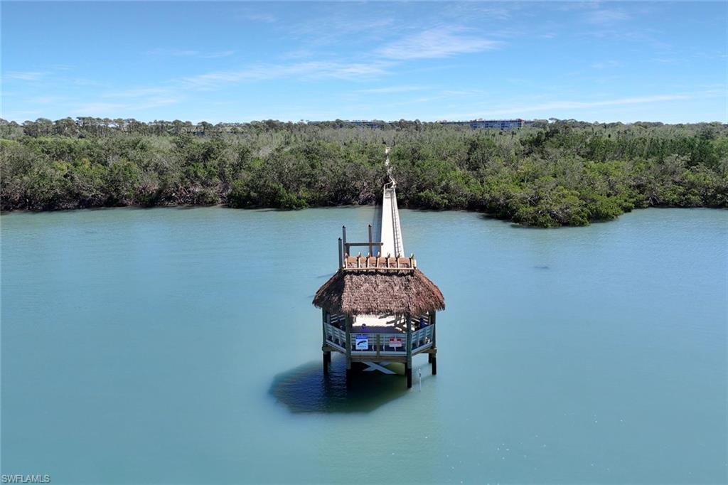 15350 Wimborne Lane, Unit 2 Naples, FL 34110 - Photo 41 of 42 a lake view with a garden