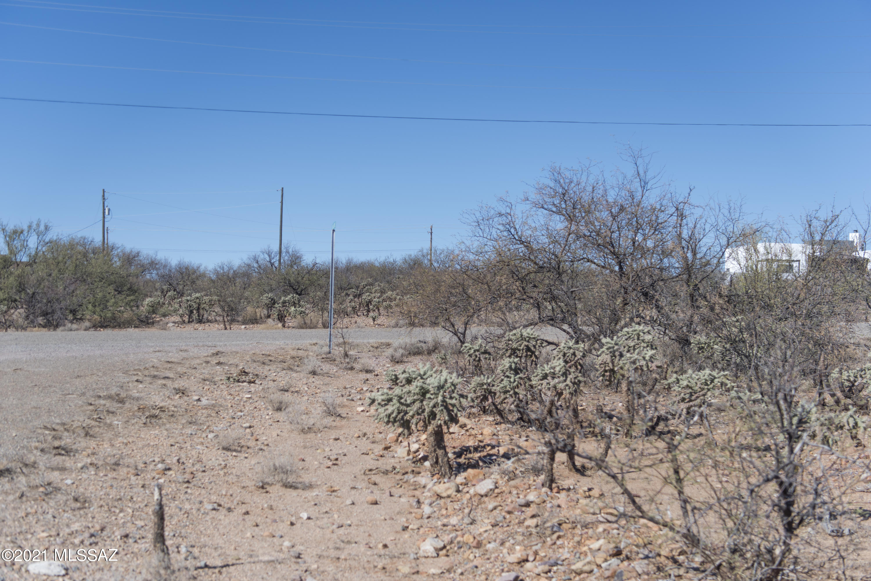 1781 Laponia Corte, Unit 28 Rio Rico, AZ 85648 - Photo 14 of 25 a view of a dry yard with trees in the background