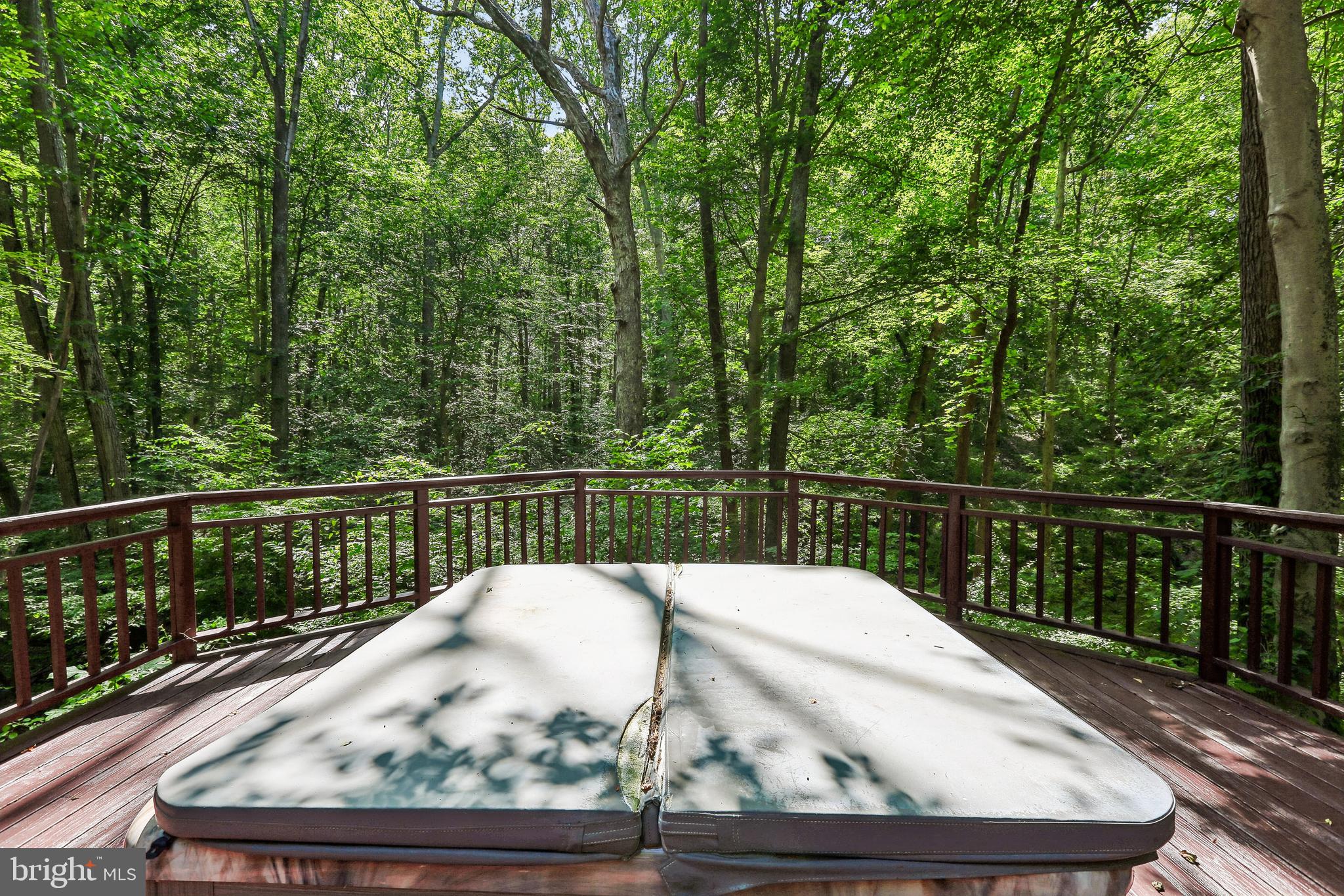 810 Governor Bridge Road Davidsonville, MD 21035 - Photo 46 of 68 Deck