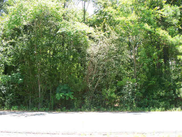 0 T A T A Chastang Road Bay Minette, AL 36507 - Photo 1 of 1
