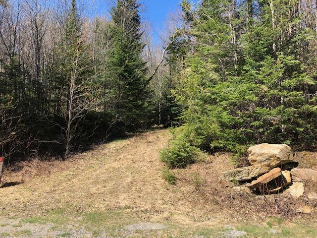 Lot 50 Edelheid Road Sandy River Plt, ME 04970 - Photo 6 of 16 Entrance