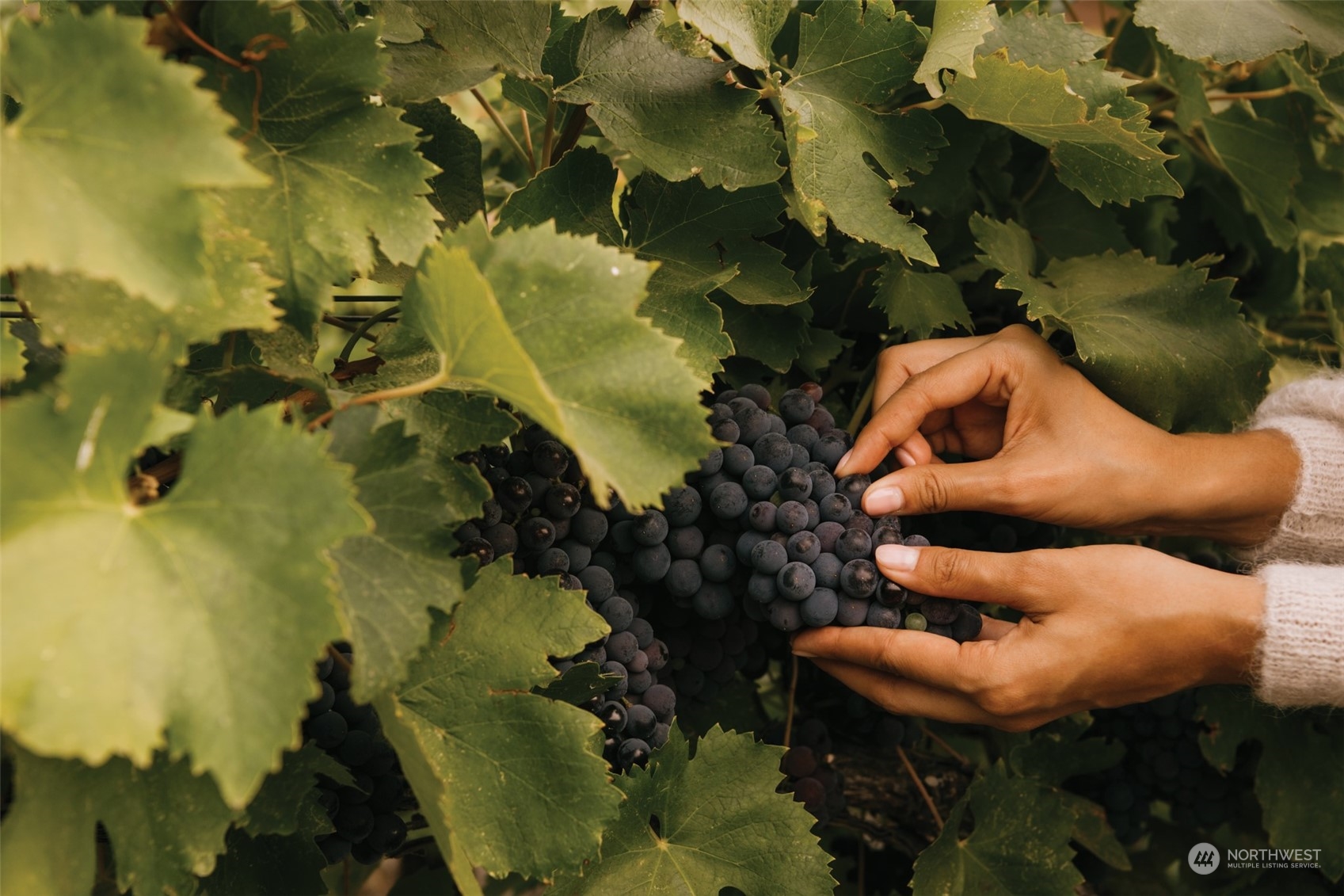 344 Silica Road Northwest, Unit 12 Quincy, WA 98848 - Photo 33 of 35