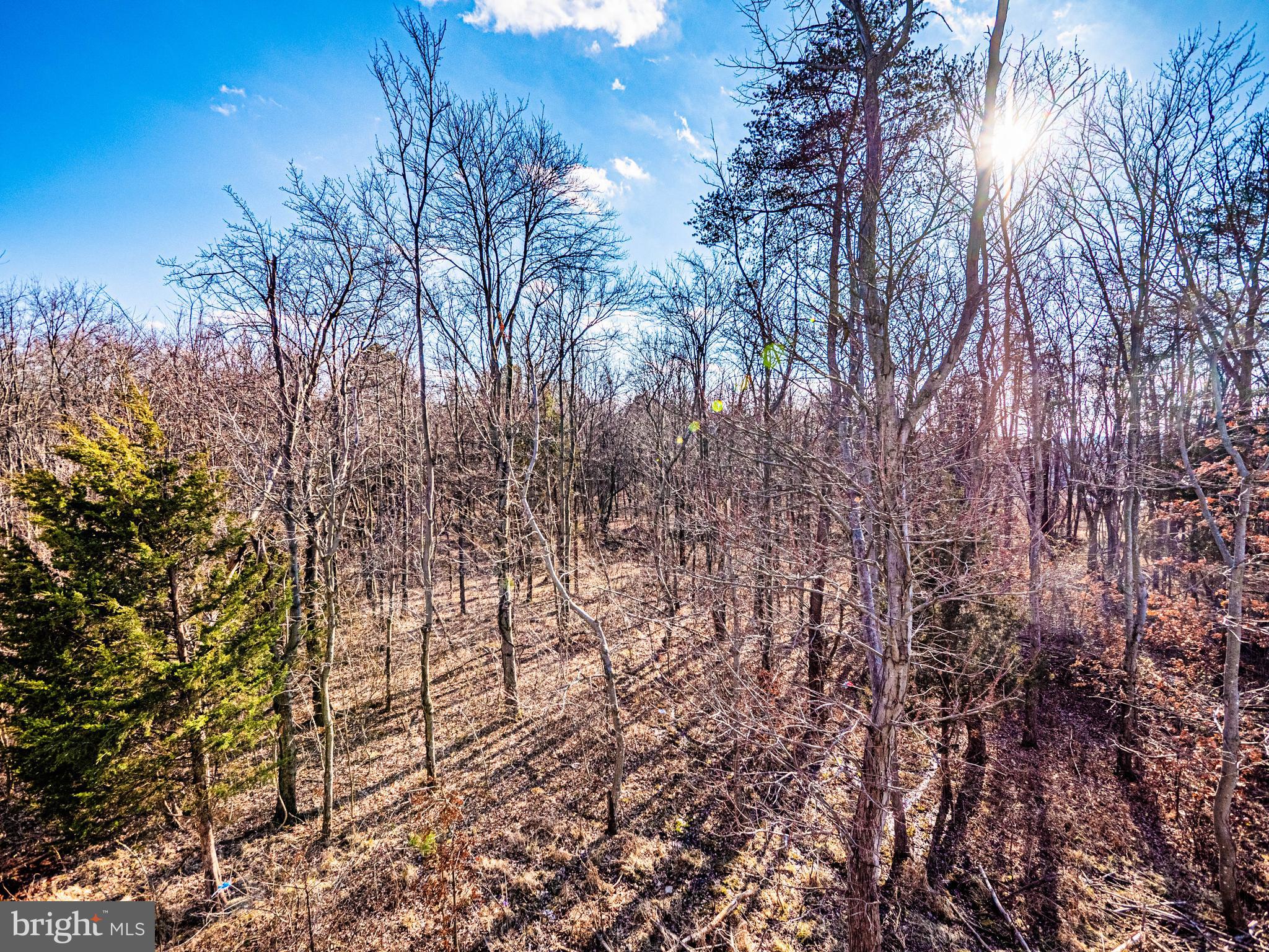 7315 Martin Farm Circle Rosedale, MD 21237 - Photo 44 of 46