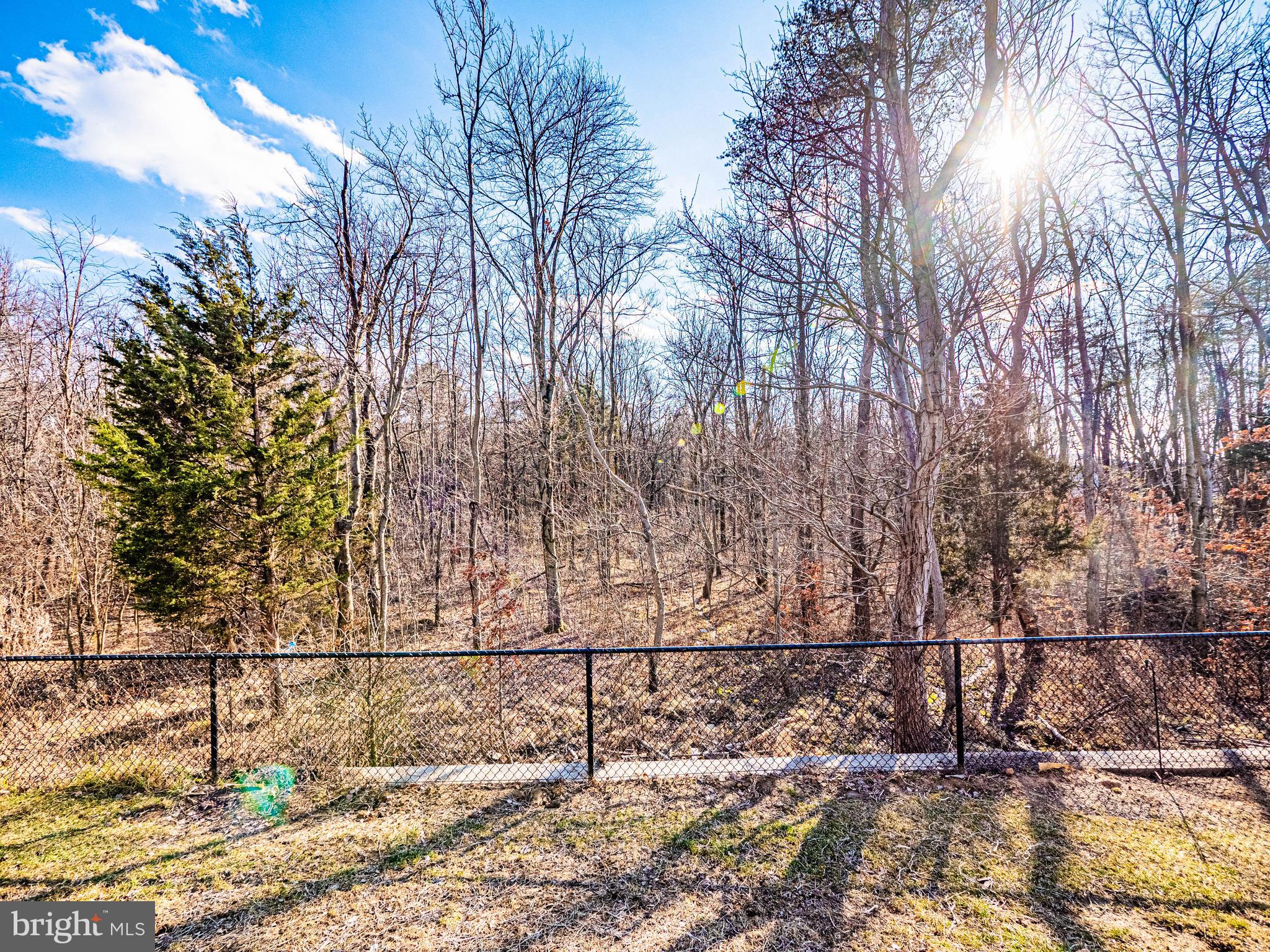 7315 Martin Farm Circle Rosedale, MD 21237 - Photo 45 of 46 a view of yard