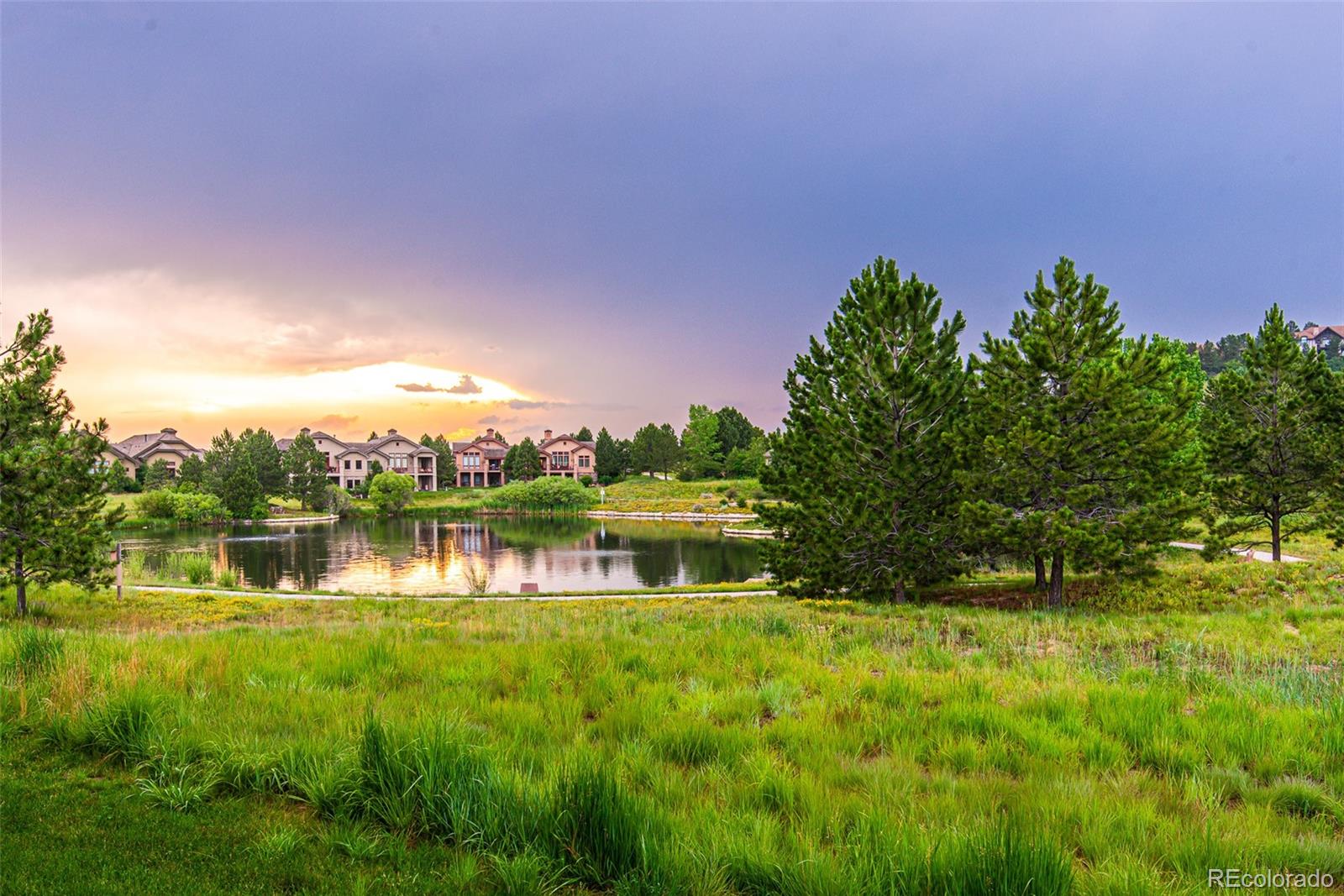 5166 Le Duc Drive Castle Rock, CO 80108 - Photo 7 of 31