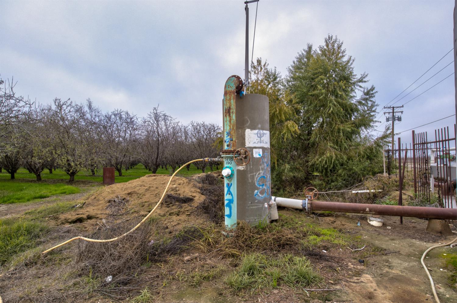 0 West Cable Street Earlimart, CA 93219 - Photo 11 of 14 a childrens park with lots of tall trees