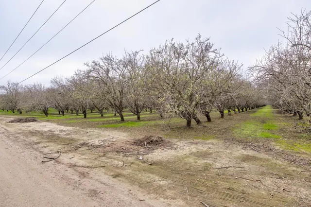 a view of a field with trees around