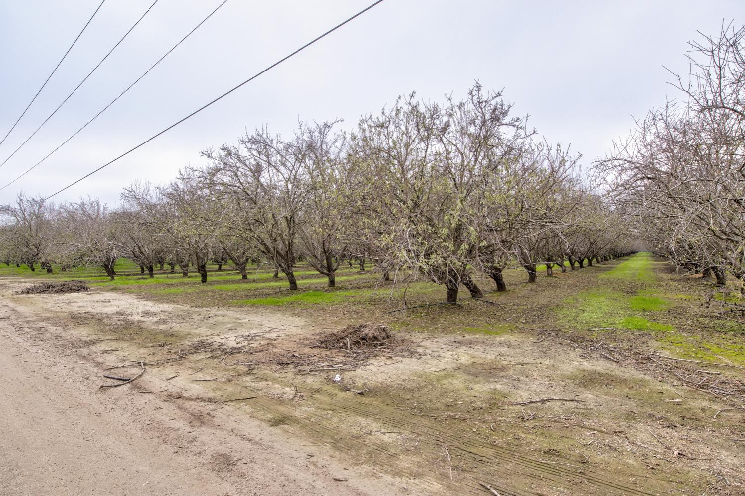 0 West Cable Street Earlimart, CA 93219 - Photo 2 of 14 a view of a field with trees around