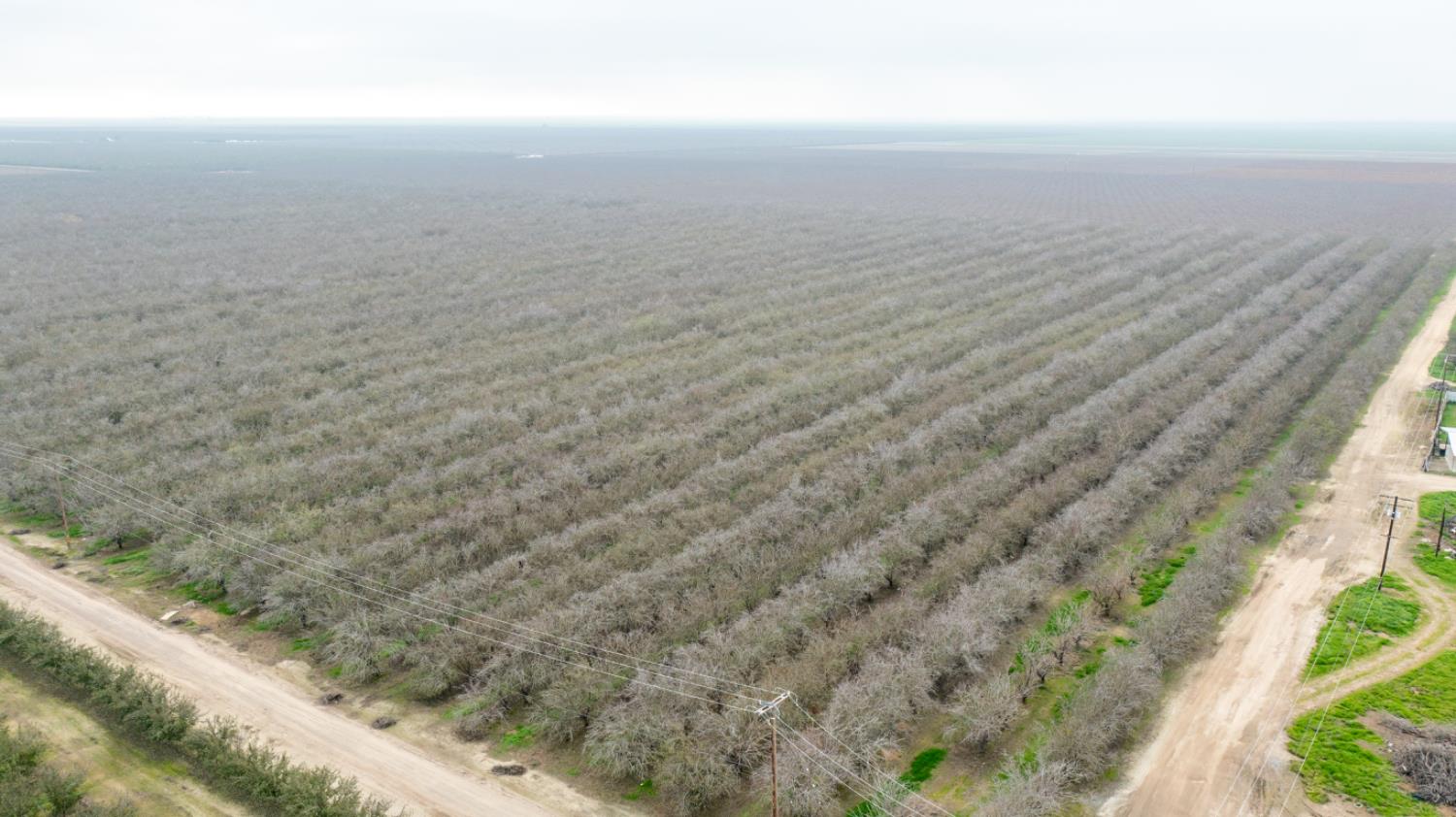 0 West Cable Street Earlimart, CA 93219 - Photo 3 of 14 a view of an ocean