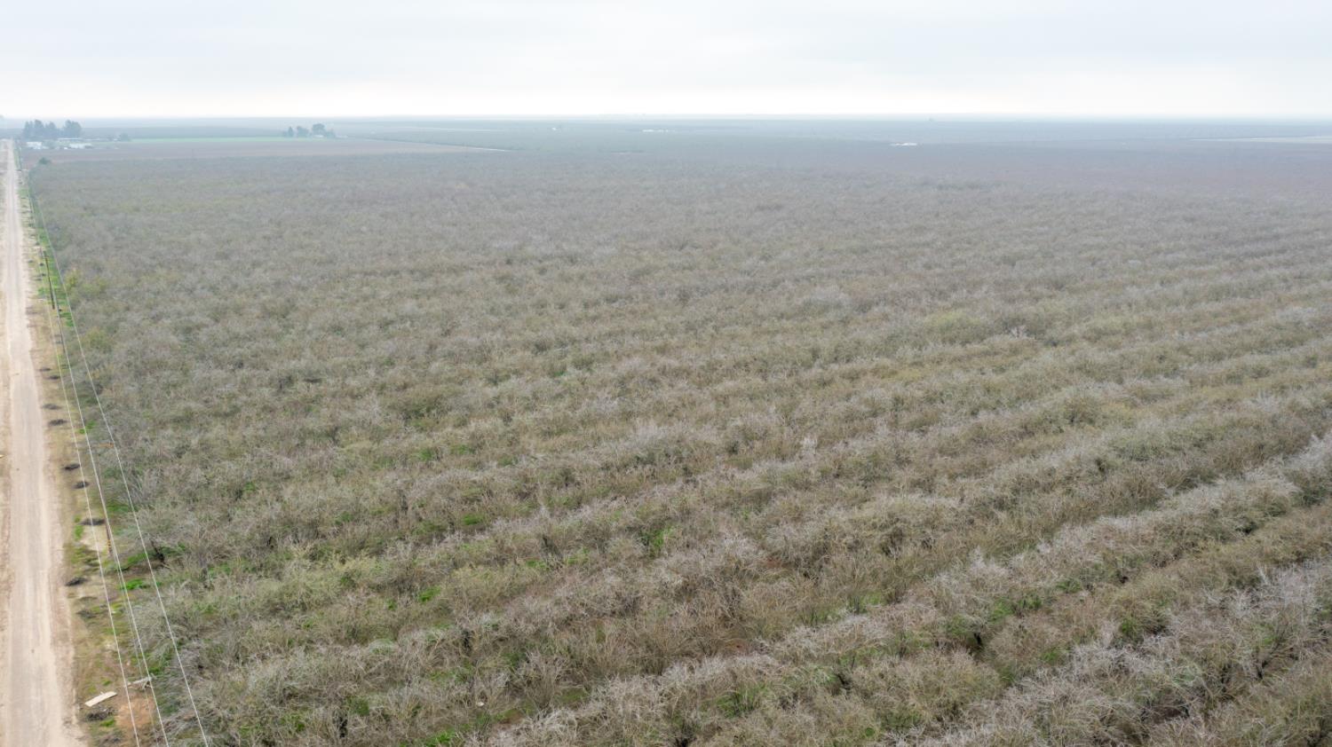 0 West Cable Street Earlimart, CA 93219 - Photo 4 of 14