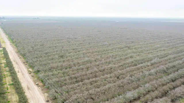 a view of lake and mountain