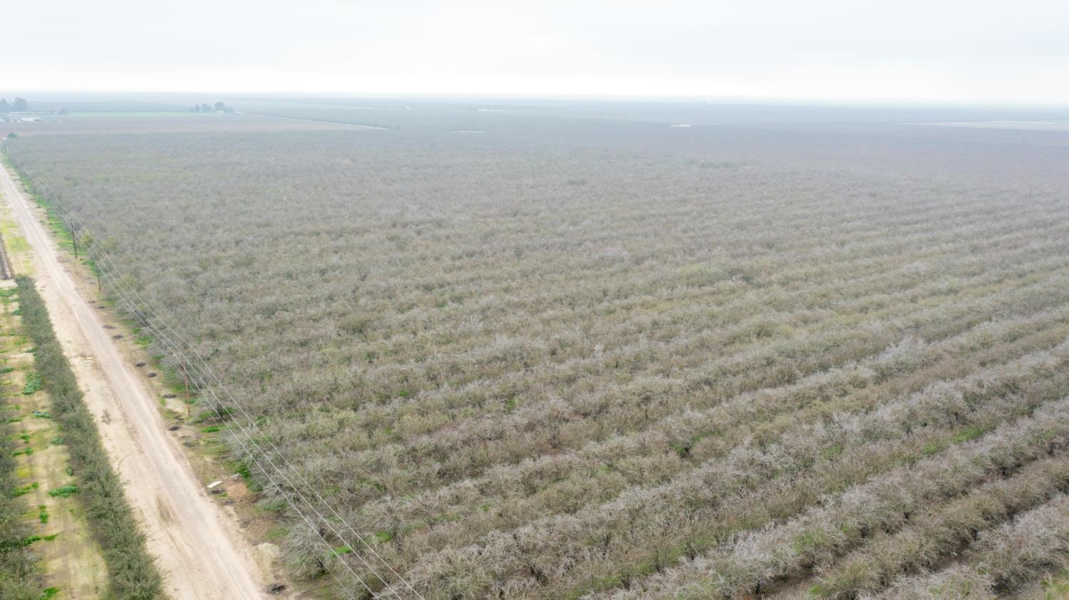 0 West Cable Street Earlimart, CA 93219 - Photo 5 of 14 a view of a terrace