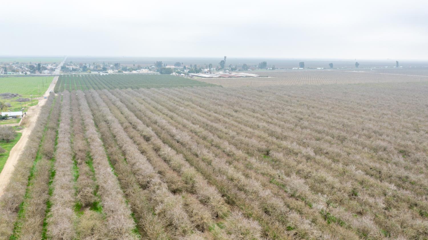 0 West Cable Street Earlimart, CA 93219 - Photo 7 of 14 a view of lake