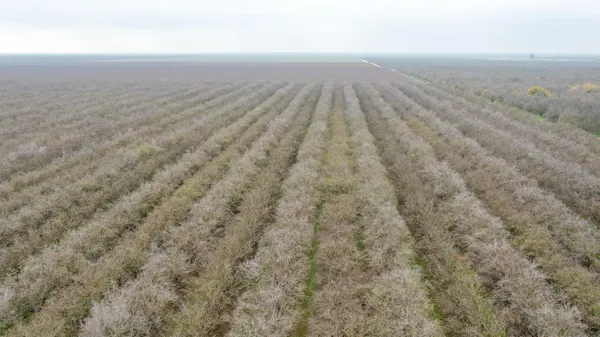 a view of a garage with a table and chairs
