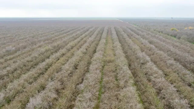 a view of a garage with a table and chairs
