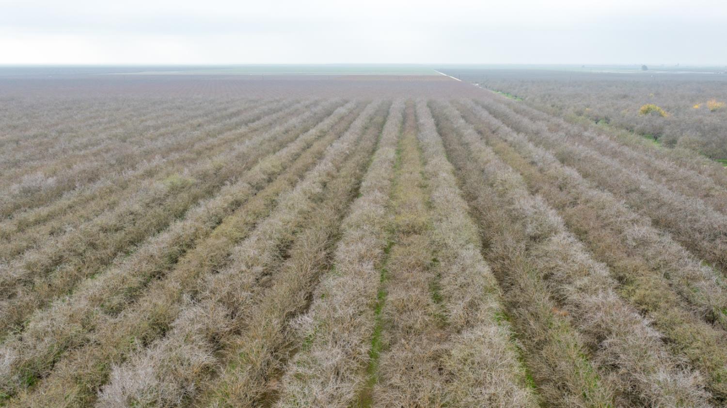 0 West Cable Street Earlimart, CA 93219 - Photo 8 of 14