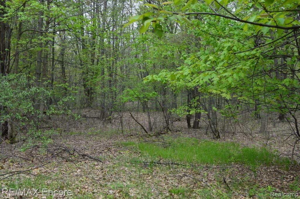 10107 Gibbs Road Clarkston, MI 48348 - Photo 11 of 11 DSC_0011.jpg
