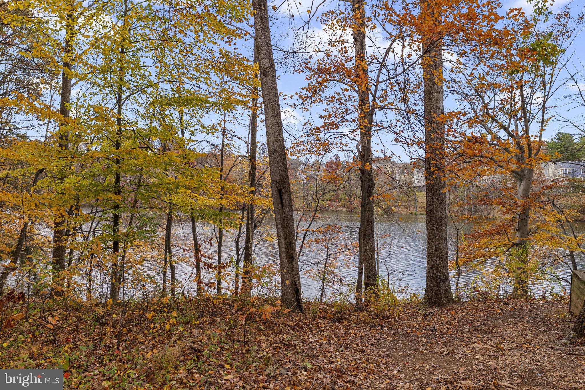 4 Waterside Court Germantown, MD 20874 - Photo 32 of 37 a backyard of a house with lots of green space