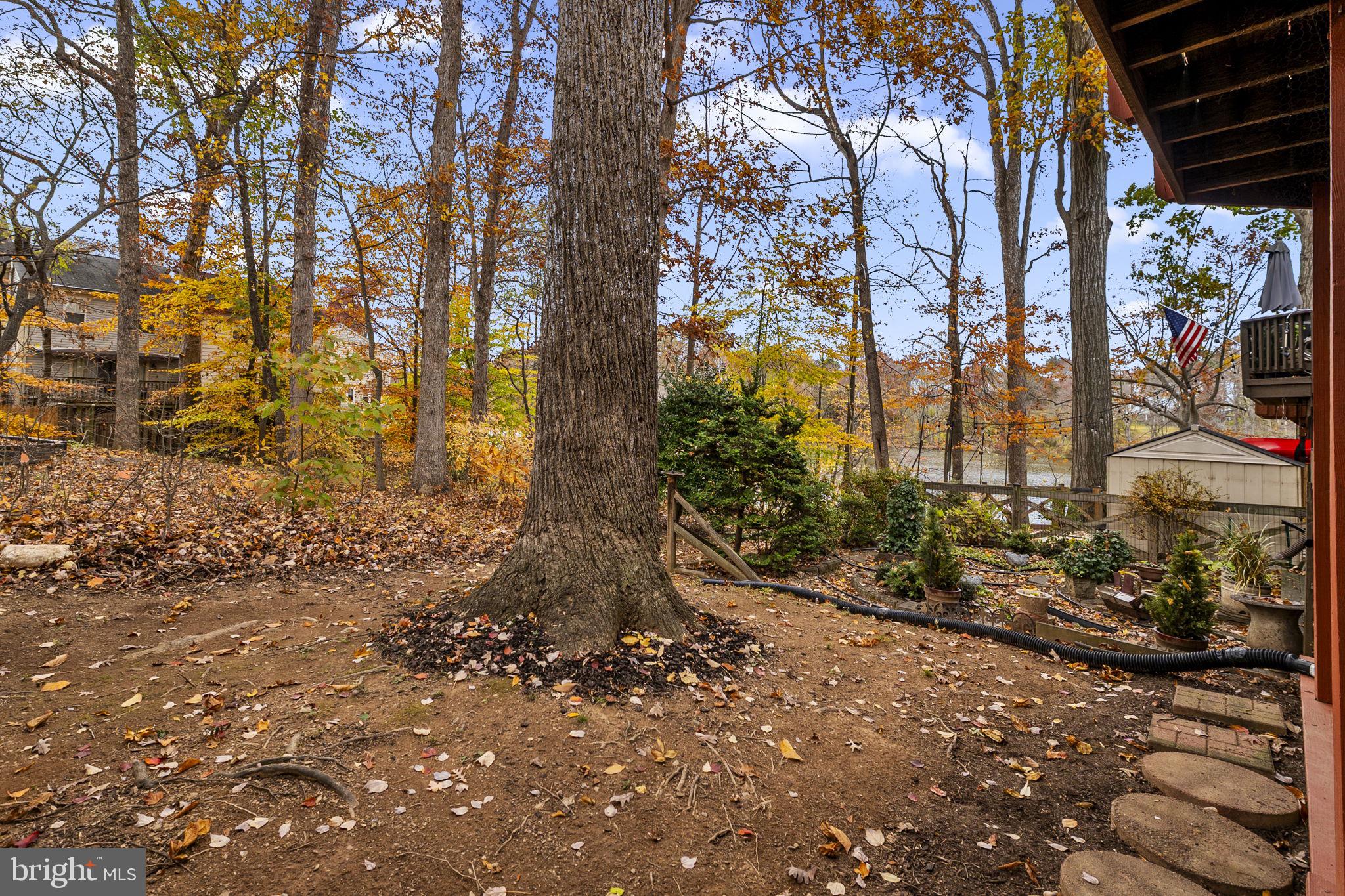 4 Waterside Court Germantown, MD 20874 - Photo 35 of 37 a backyard of a house with lots of green space