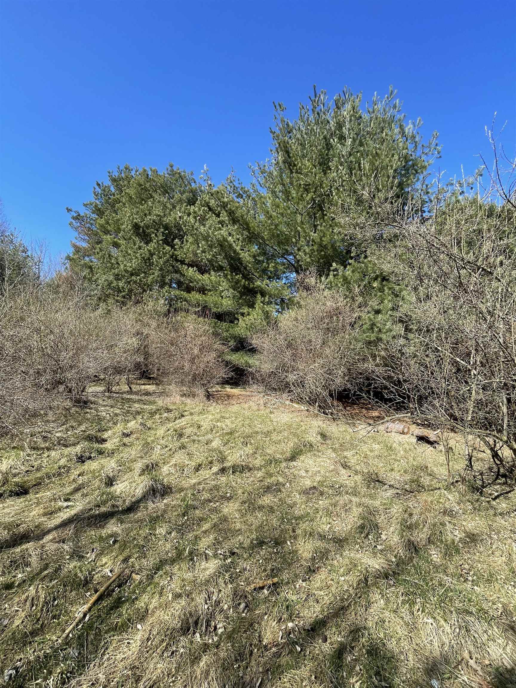 Tbd South Tbd S Fenmore Road Merrill, MI 48637 - Photo 6 of 19