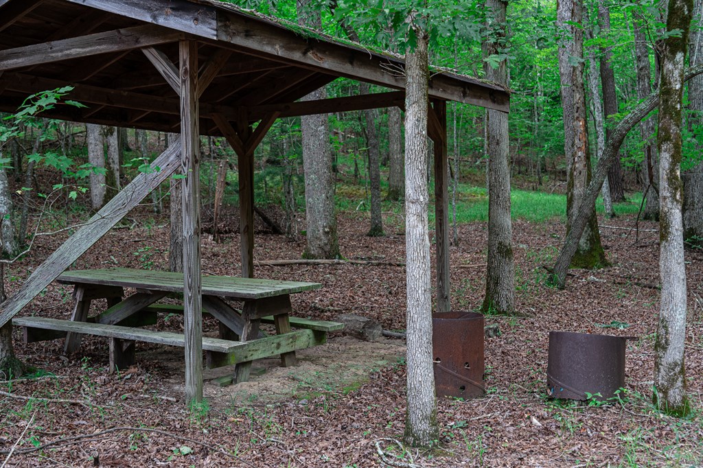 2593 Star Creek Road Morganton, GA 30560 - Photo 11 of 60 Gallery Image 11