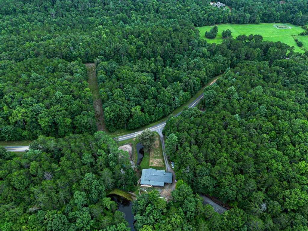 2593 Star Creek Road Morganton, GA 30560 - Photo 3 of 60 Gallery Image 3