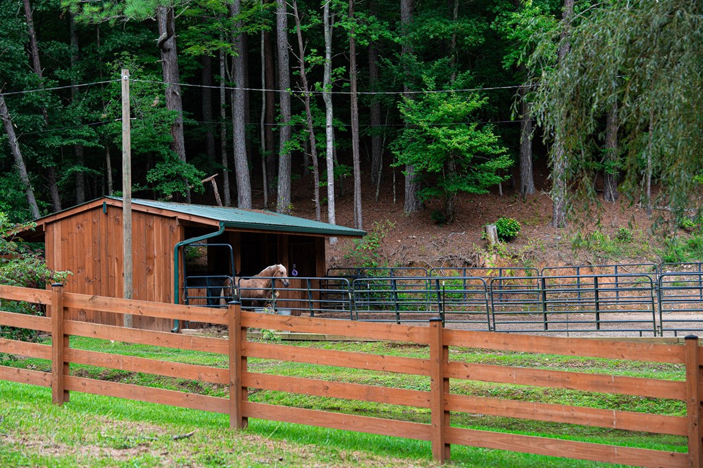 2593 Star Creek Road Morganton, GA 30560 - Photo 34 of 60 Gallery Image 34