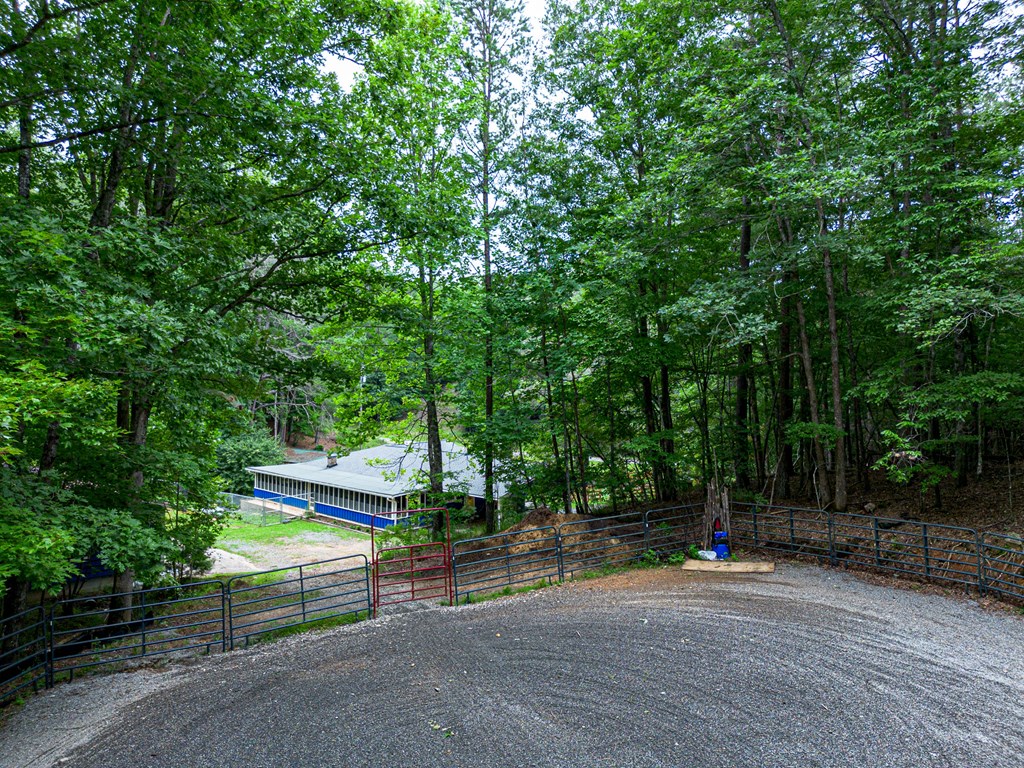 2593 Star Creek Road Morganton, GA 30560 - Photo 8 of 60 Gallery Image 8
