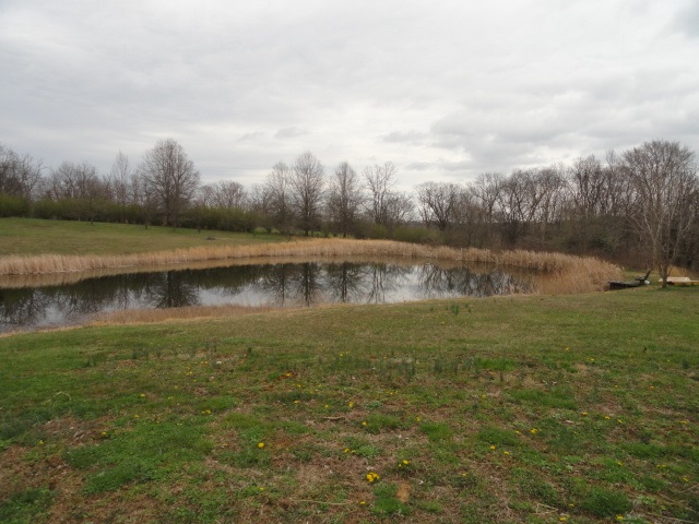 7294 Addie Road Spencer, IN 47460 - Photo 6 of 8