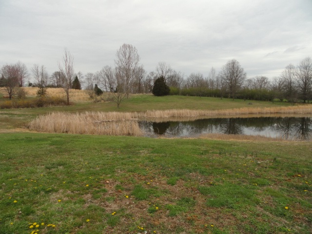 7294 Addie Road Spencer, IN 47460 - Photo 7 of 8