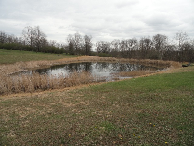 7294 Addie Road Spencer, IN 47460 - Photo 8 of 8
