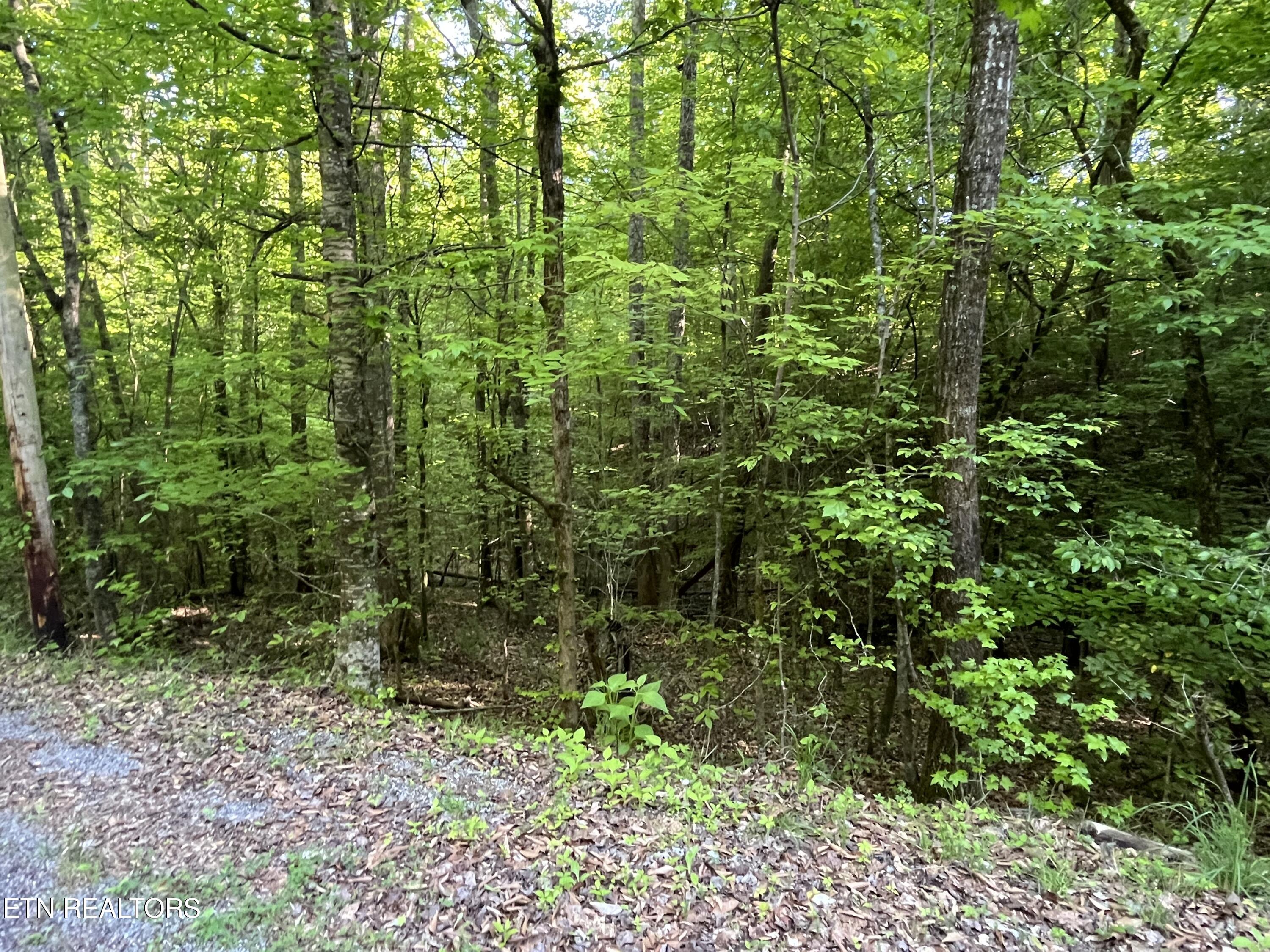 336-342 Omega Drive Spring City, TN 37381 - Photo 3 of 4 IMG_8264