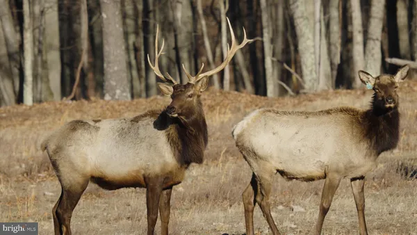 $1,650,000 | 500 Lexington Drive, Romney, WV 26757