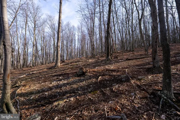 $1,650,000 | 500 Lexington Drive, Romney, WV 26757